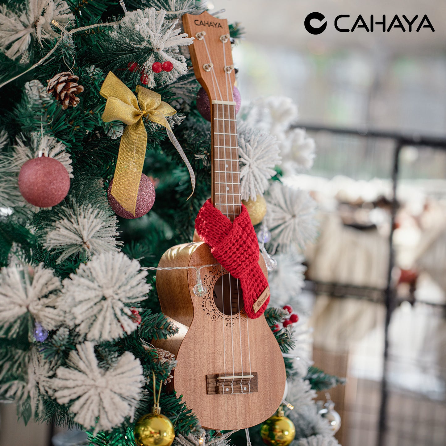 Ukulele Starter Kit Collection 21 Inches