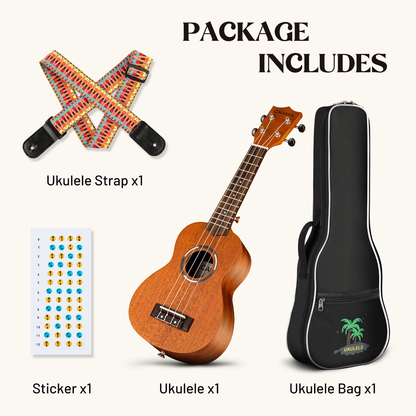 Concert Ukulele 23 Inches Starter Kit