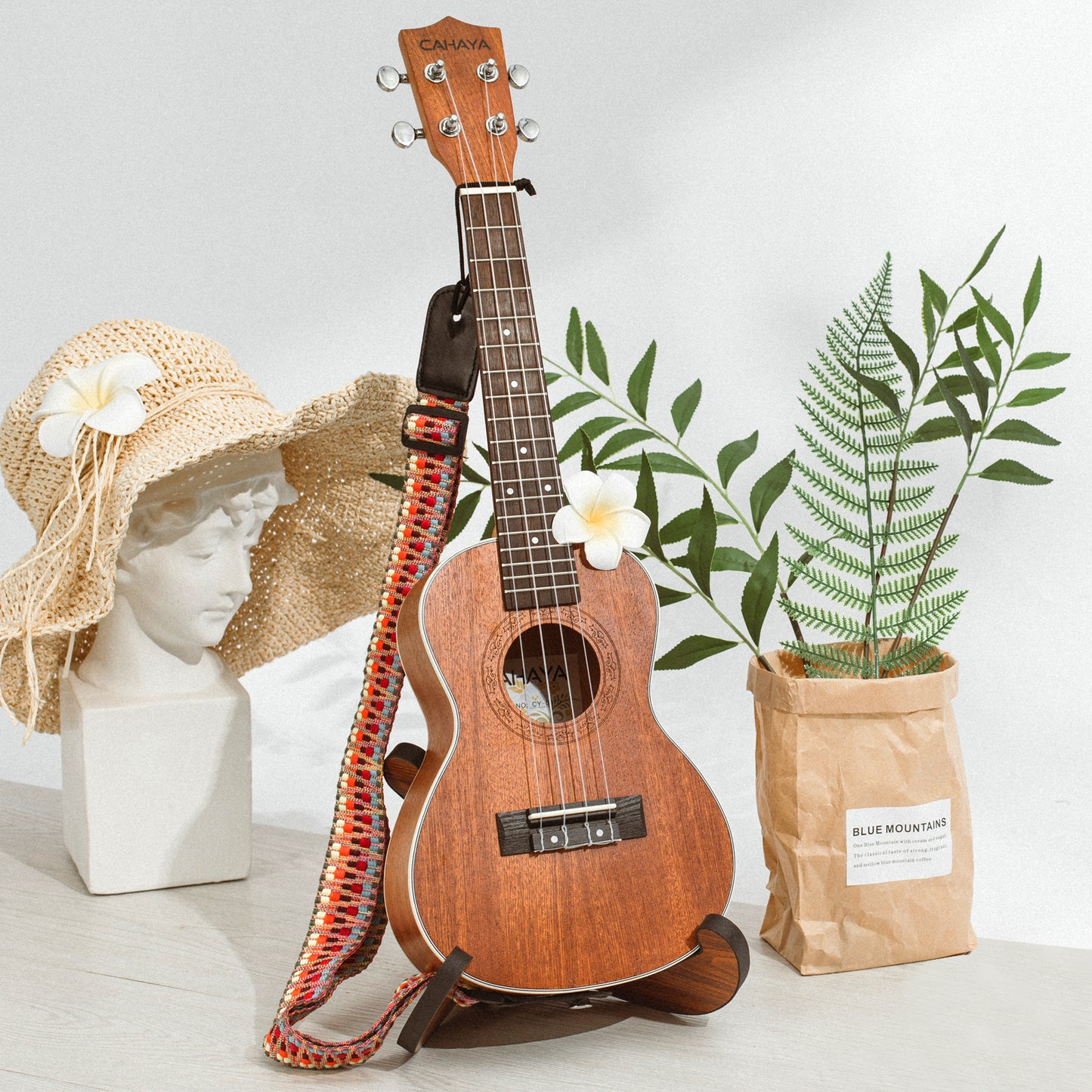 Concert Ukulele 23 Inches Starter Kit