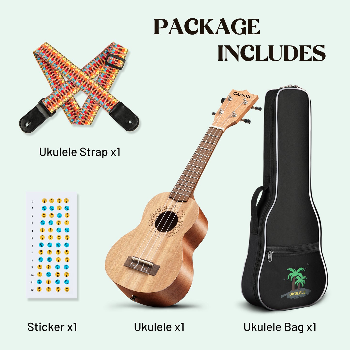 Ukulele Starter Kit Collection 21 Inches
