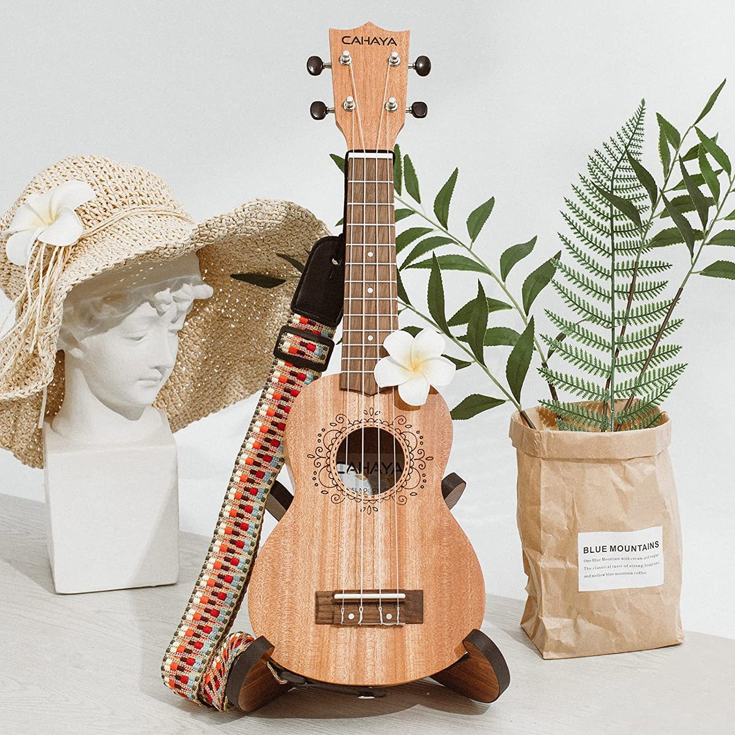 Ukulele Starter Kit Collection 21 Inches