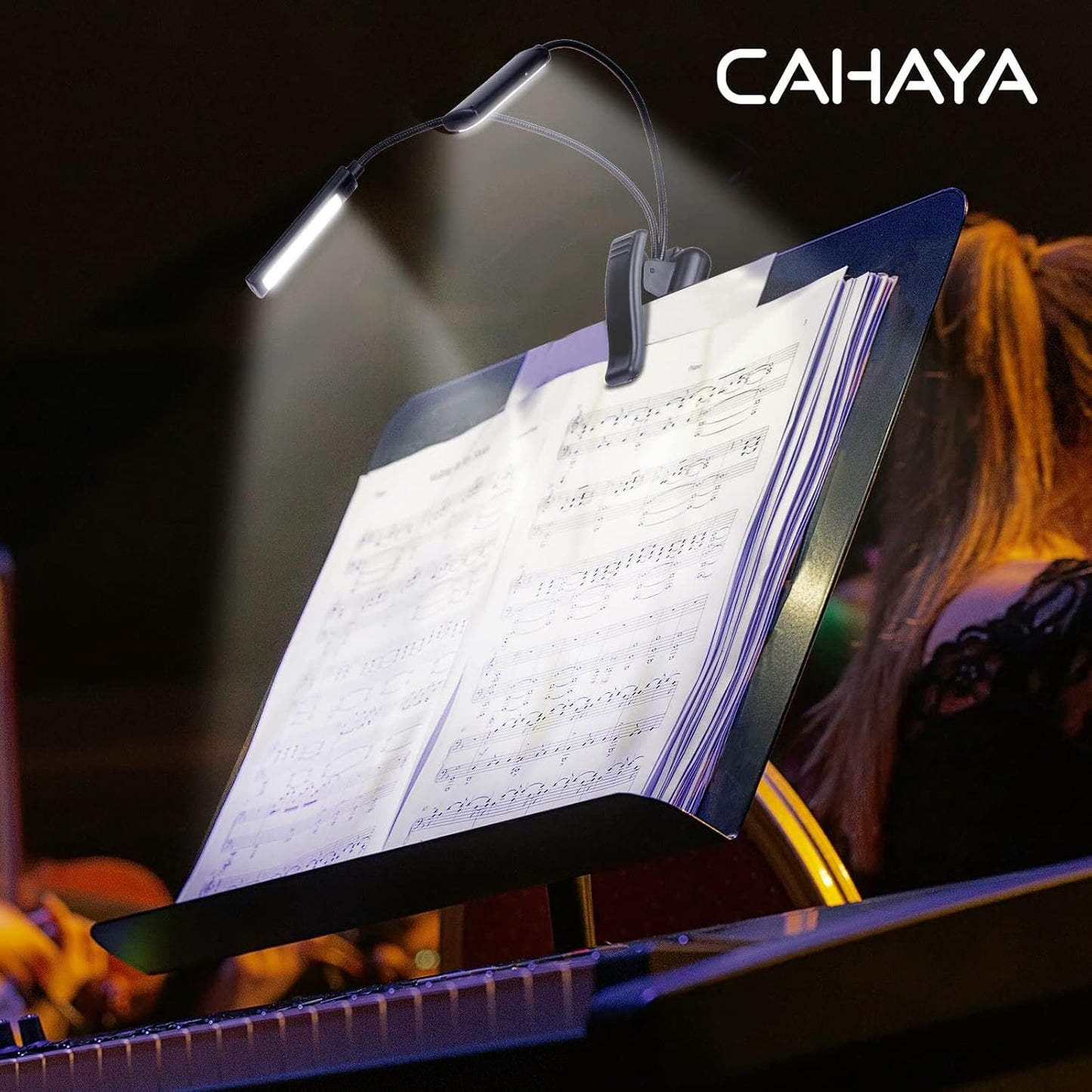 Music stand with light
