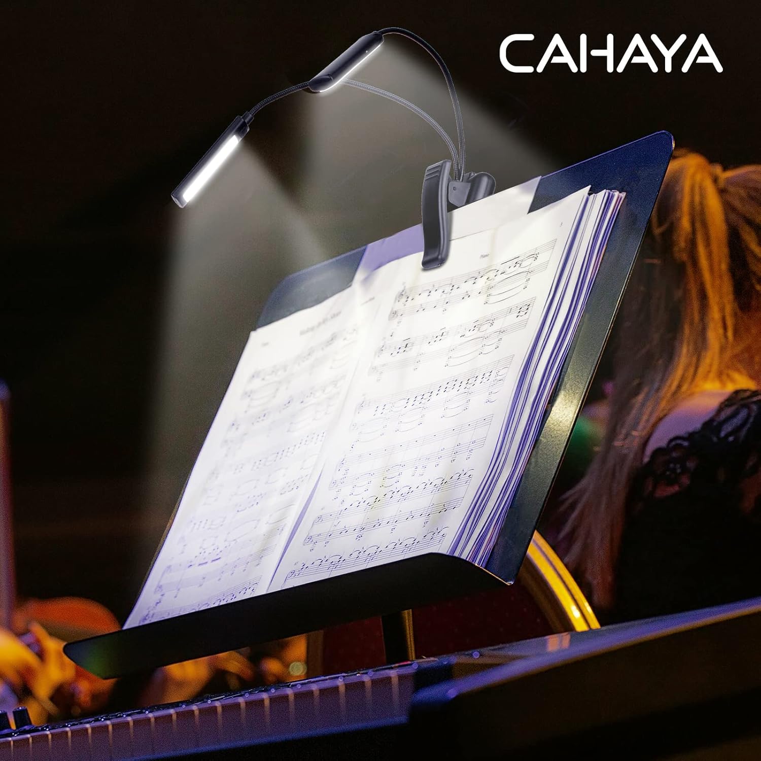 Music stand with light
