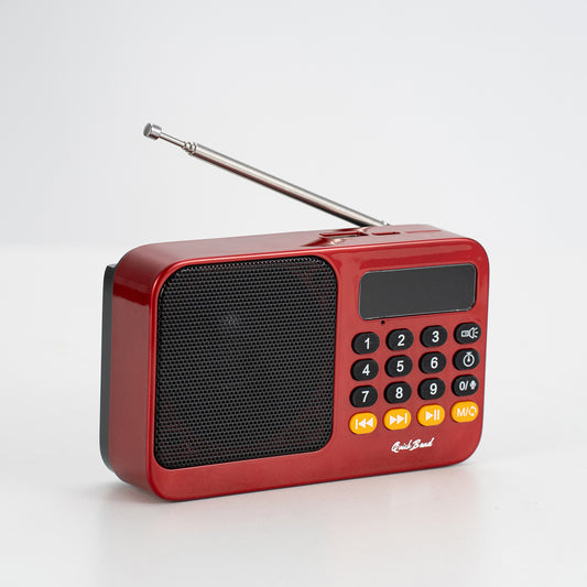 QuickBand Portable & Powerful Mini Radio Amplifier