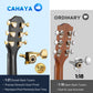 38 inches Full Carbon Fiber Acoustic Guitar CCF300