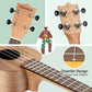 Ukulele Starter Kit Collection 21 Inches